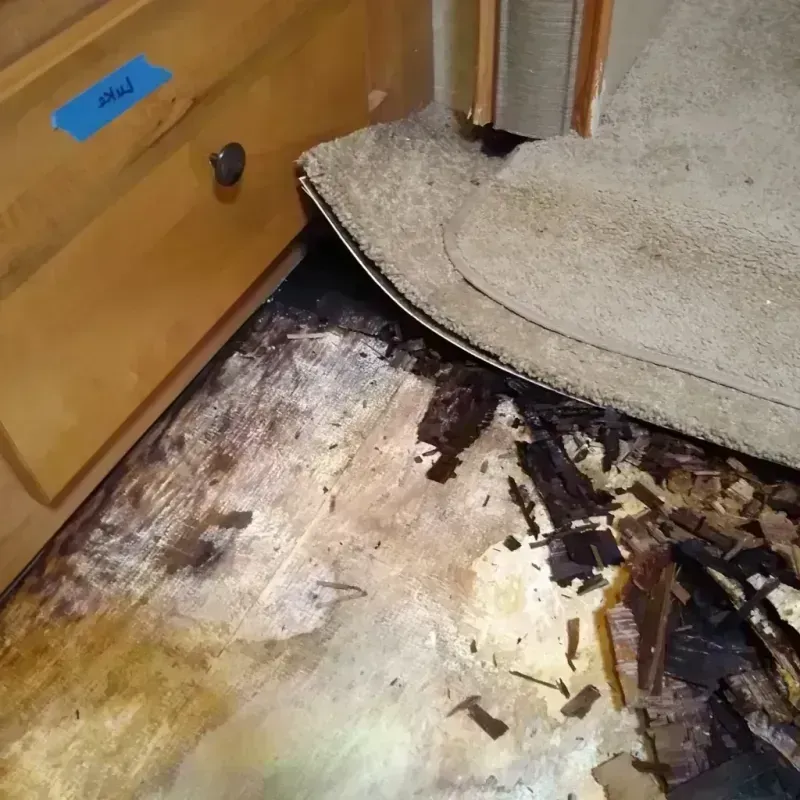 Best Wood Floor Water Damage Service in Carefree, AZ